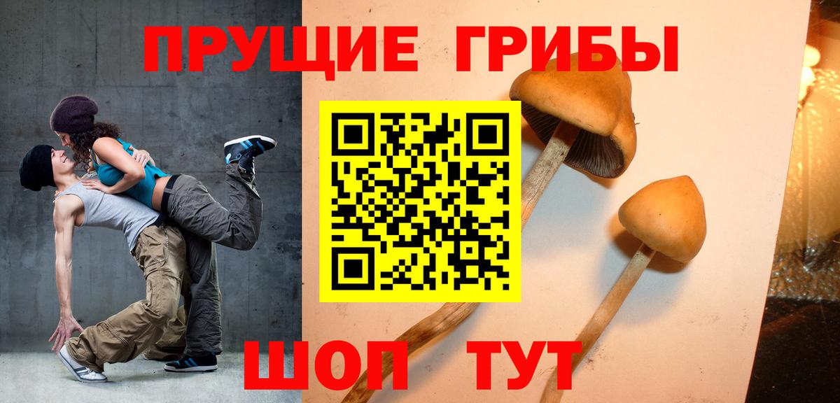 Галлюциногенные грибы прущие грибы  Вход с VPN  Галлюциногенные грибы Psilocybe  Северобайкальск 